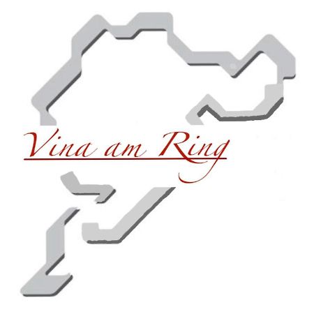 vina am ring Bed and Breakfast Mannebach  Exteriör bild