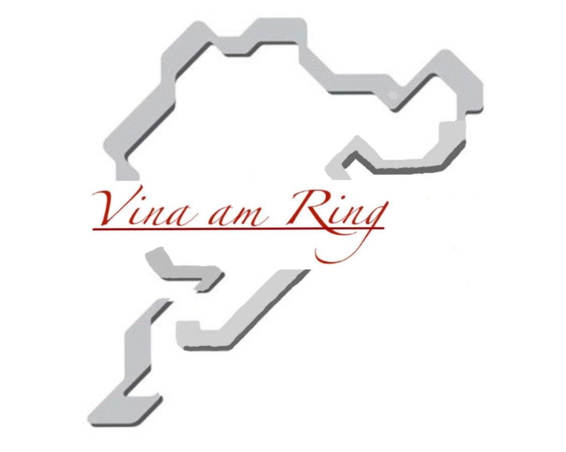 vina am ring Bed and Breakfast Mannebach  Exteriör bild